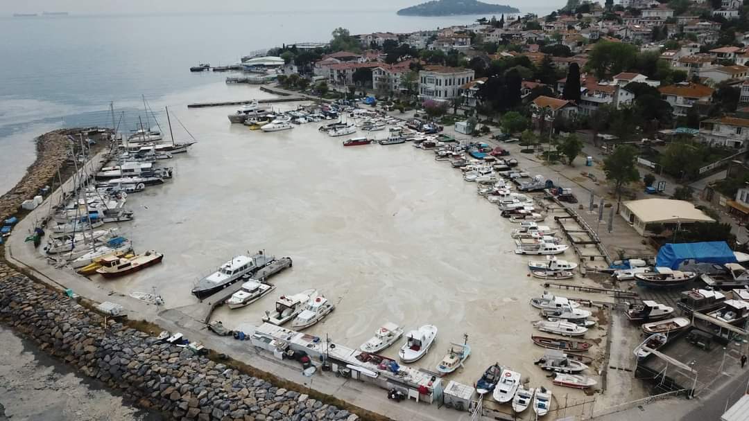 İKLİM KRİZİ VE MÜSİLAJ SORUNU KONULU TOPLANTI SONUÇ BİLDİRGESİ
